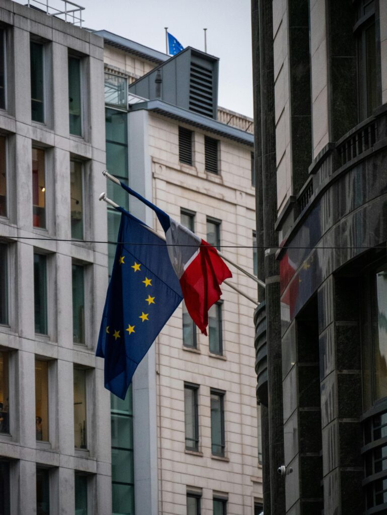 pexels photo 34048254 34048254 pexels-photo-34048254-34048254.jpg